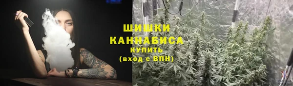 ГАЛЛЮЦИНОГЕННЫЕ ГРИБЫ Абдулино