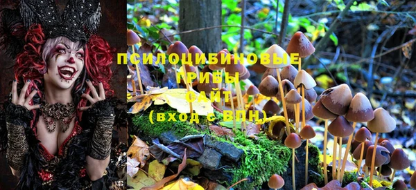 ГАЛЛЮЦИНОГЕННЫЕ ГРИБЫ Абдулино