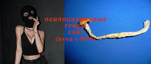 ГАЛЛЮЦИНОГЕННЫЕ ГРИБЫ Няндома