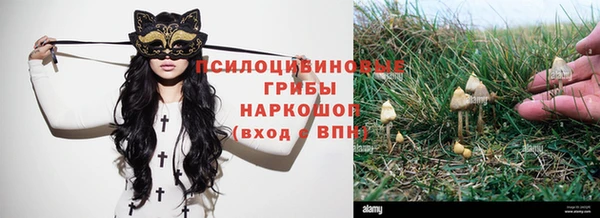 ГАЛЛЮЦИНОГЕННЫЕ ГРИБЫ Абдулино
