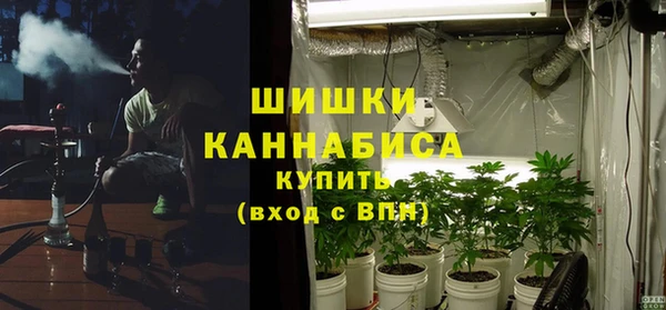 ГАЛЛЮЦИНОГЕННЫЕ ГРИБЫ Абдулино