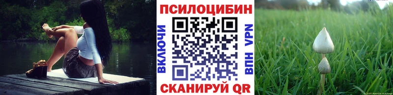 OMG маркетплейс  Горячеводский  Псилоцибиновые грибы Cubensis 